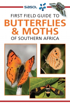 First Field Guide to Butterflies & Moths- Simon van Noort