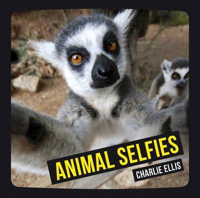Animal Selfies - Charlie Ellis