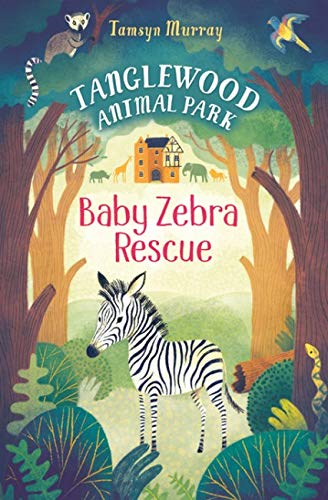 Baby Zebra Rescue - Tamsyn Murray