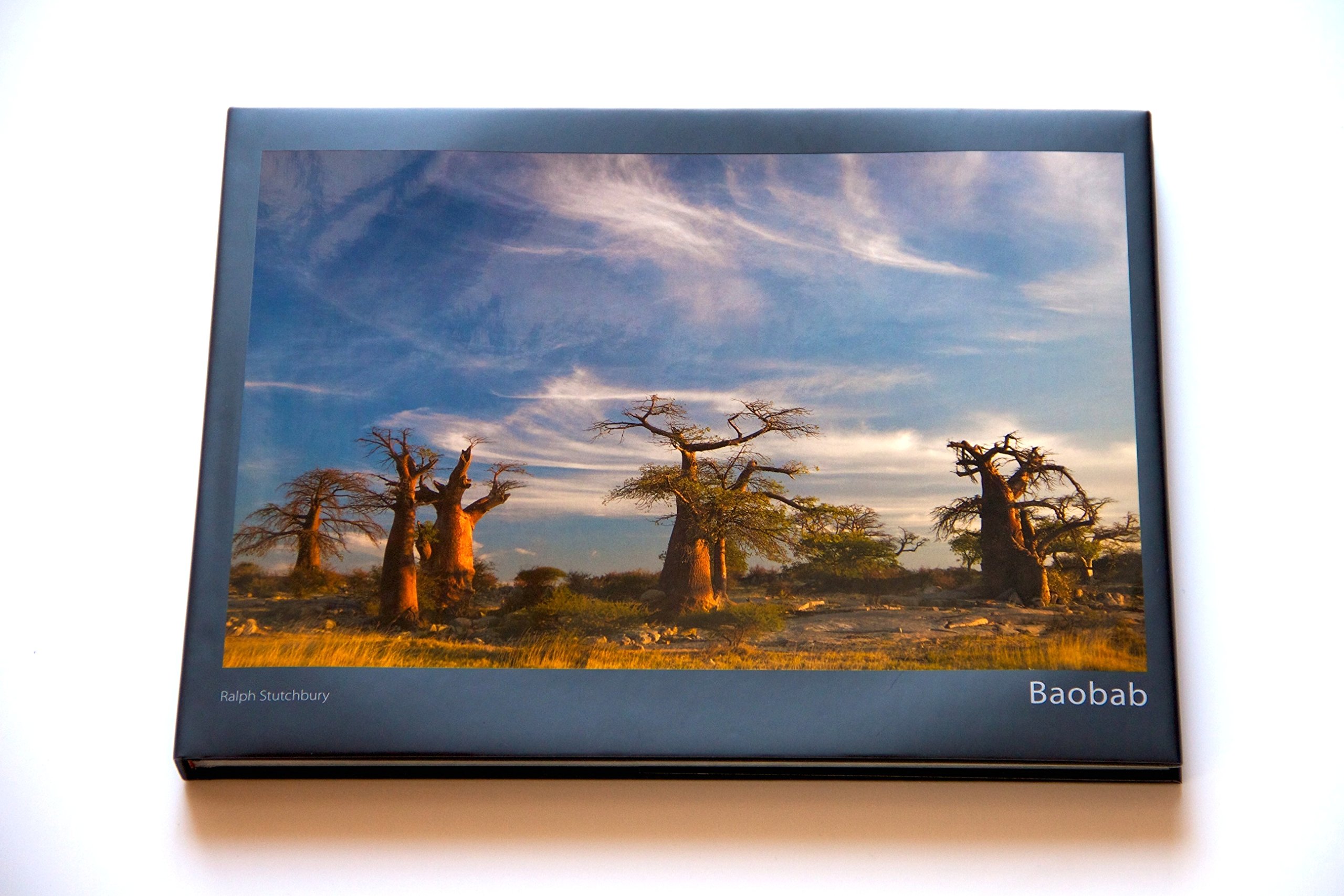 Baobab - Ralph Stutchbury
