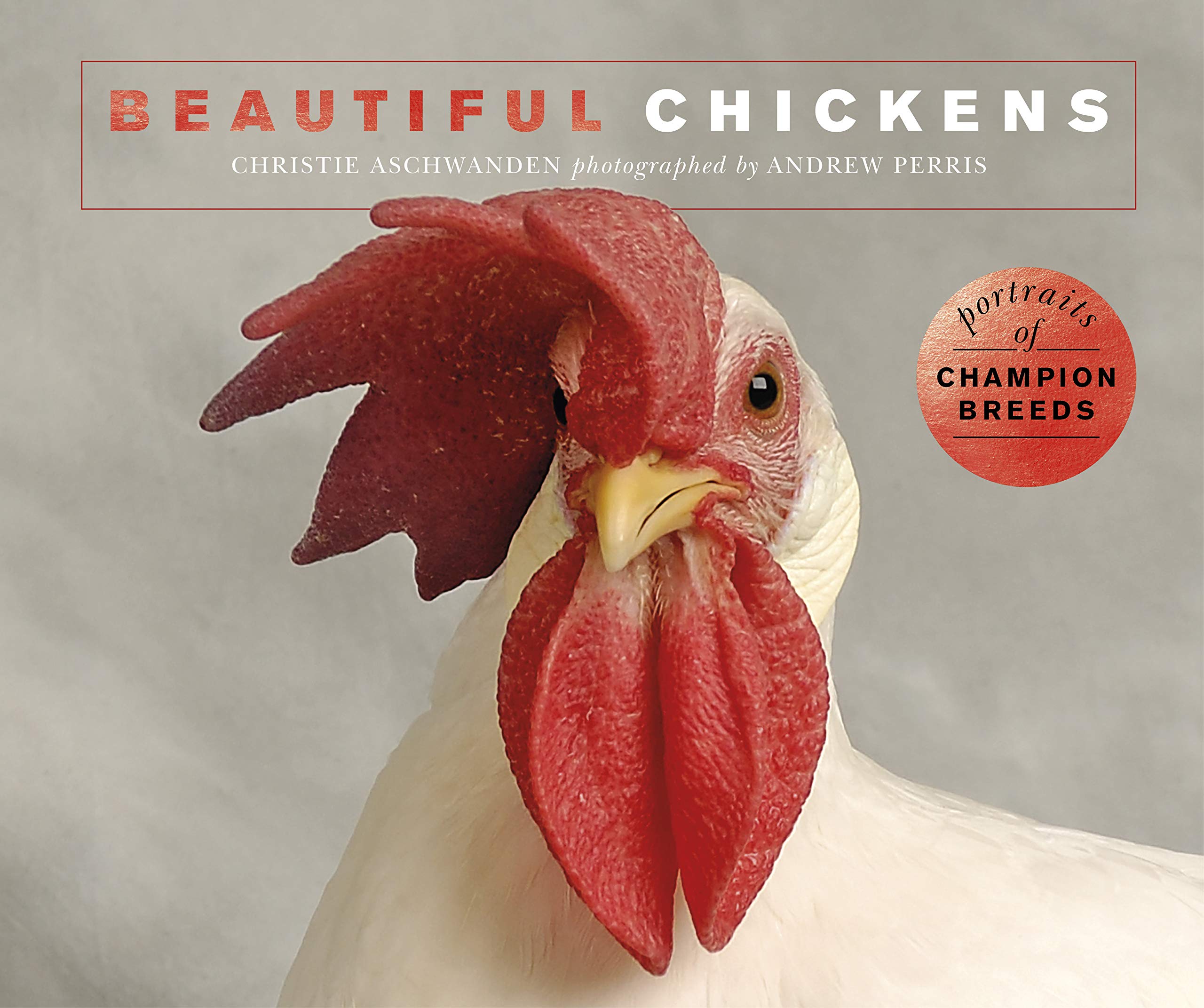 Beautiful Chickens: Portraits of Champion Breeds - Christie Aschwanden