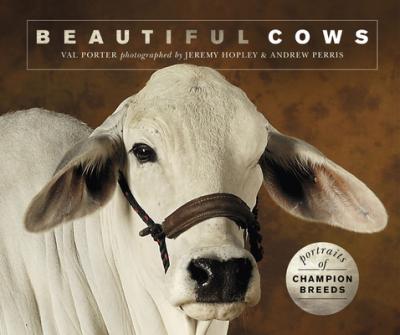 Beautiful Cows: Portraits of Champion Breeds - Valerie Porter