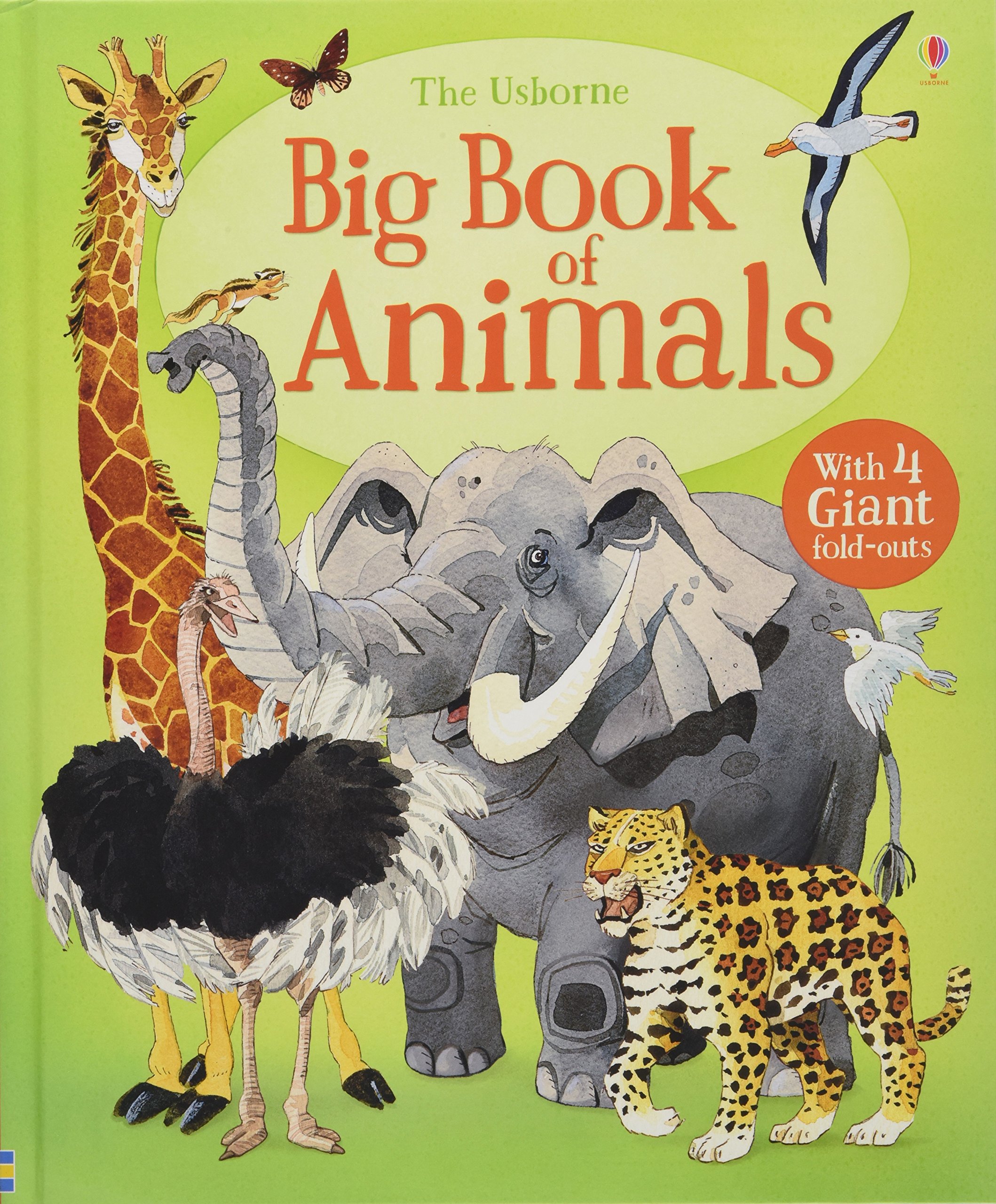 Big Book of Animals - Hazel Maskell and Fabiano Fiorin