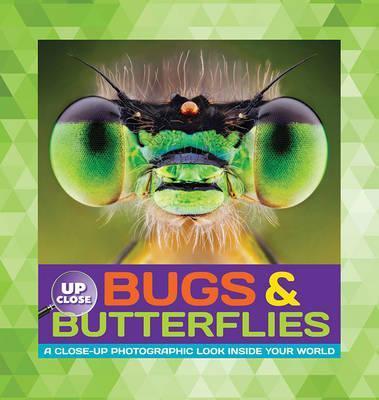 Bugs & Butterflies - Heidi Fiedler