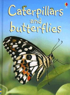Caterpillars and Butterflies - Stephanie Turnbull