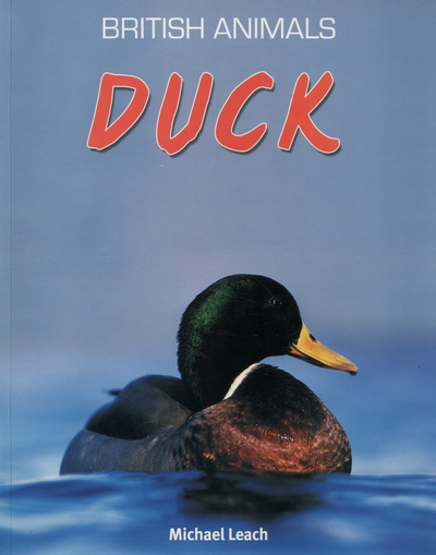 Duck - Stephen Savage