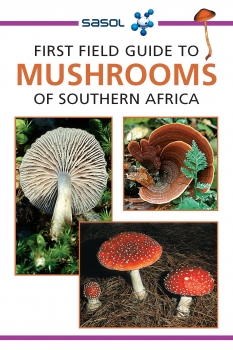Mushrooms of Southern Africa