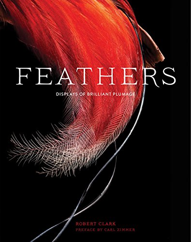 Feathers: Displays of Brilliant Plumage - Robert Clark