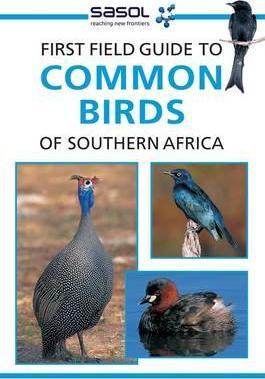 First Field Guide to Common Birds of Southern Africa - Tracey Hawthorne