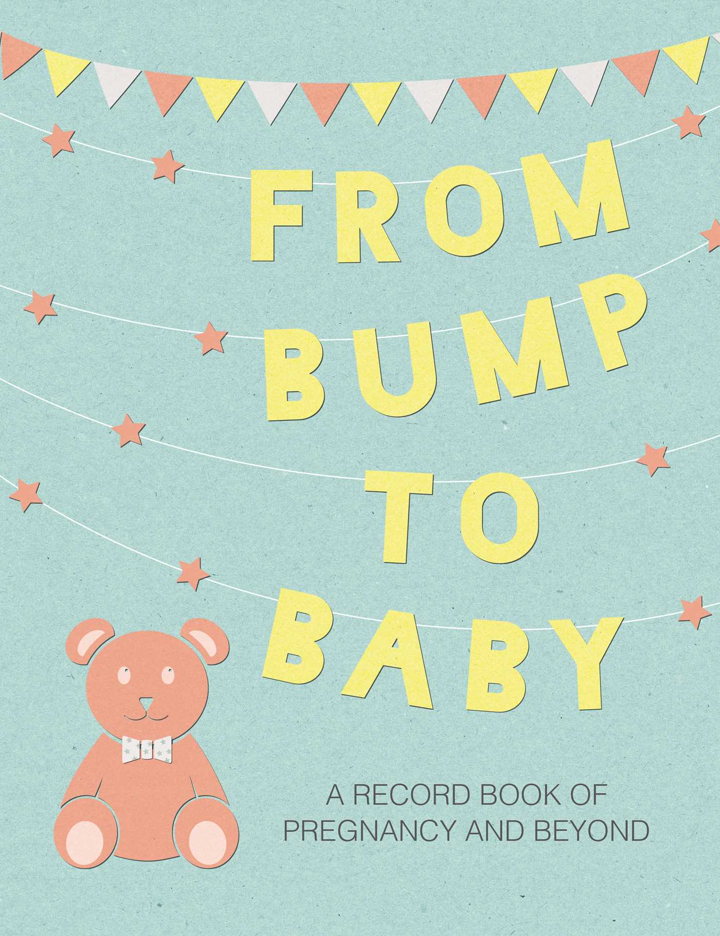 From Bump to Baby: A record book of pregnancy and beyond