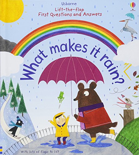 Lift-the-Flap First Questions and Answers What Makes it Rain? - Katie Daynes