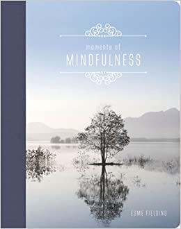 Moments of Mindfulness - Esme Fieldings