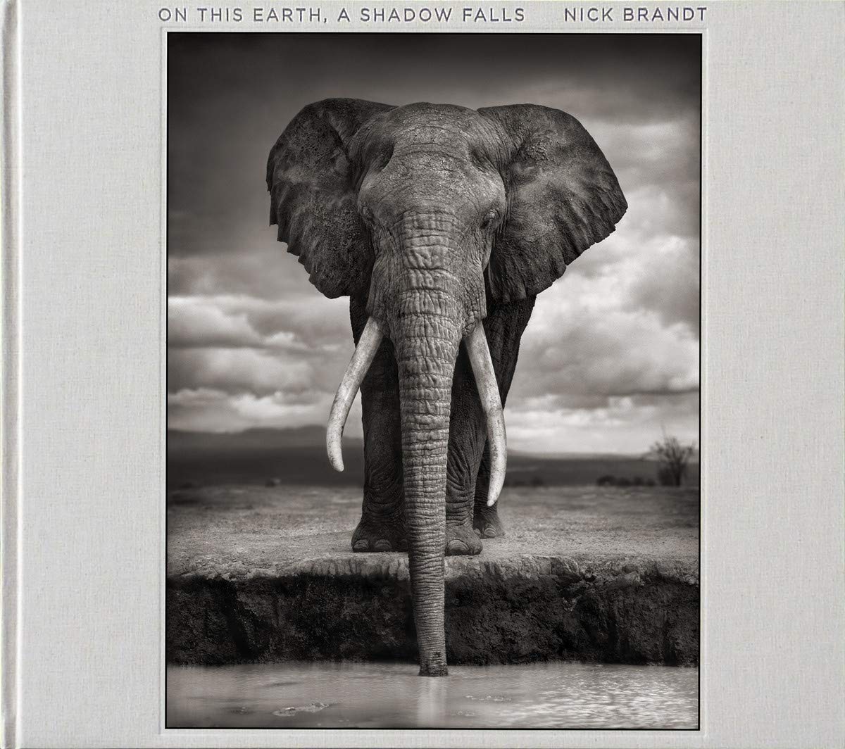 Nick Brandt: On This Earth, A Shadow Falls