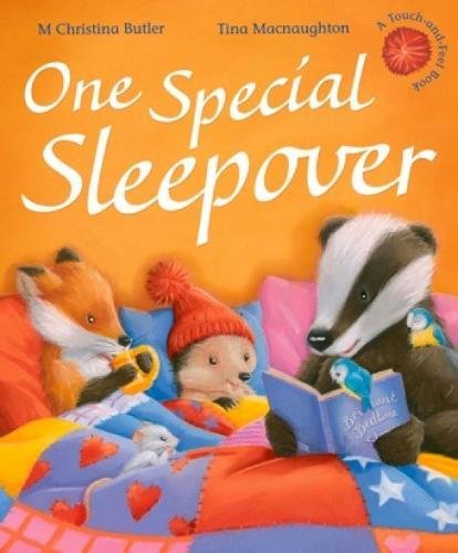 One Special Sleepover - M. Christina Butler
