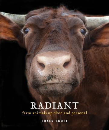 Radiant: Farm Animals Up Close and Personal - Traer Scott