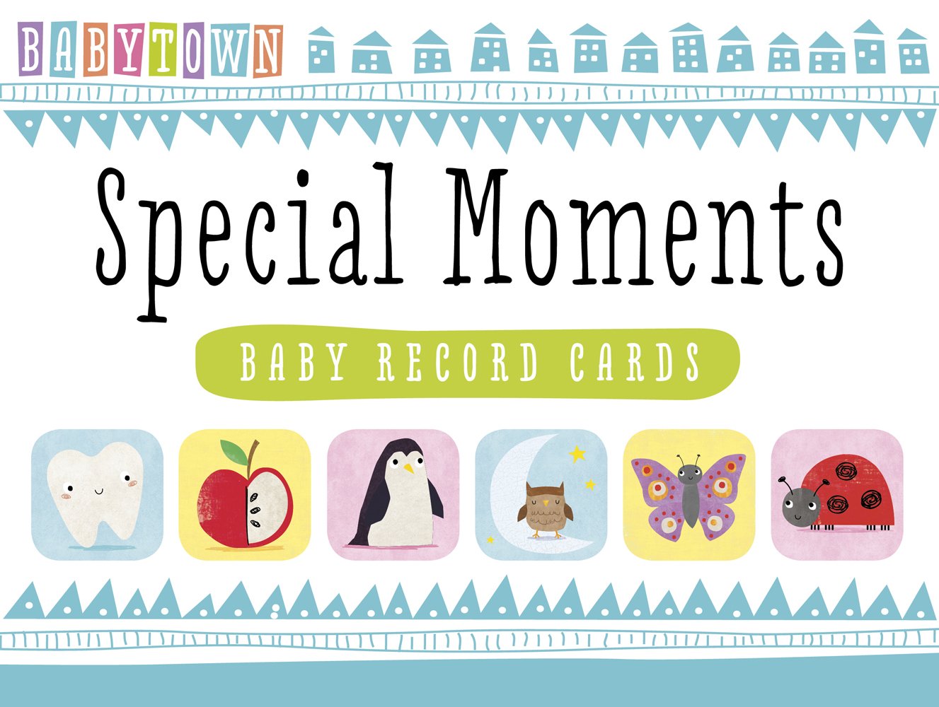 Special Moments Baby Record Cards