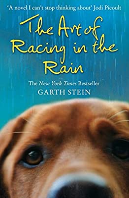The Art Of Racing In The Rain - Garth Stein