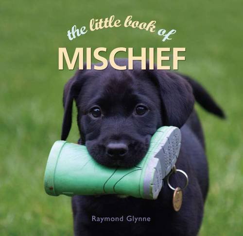 The Little Book of Mischief