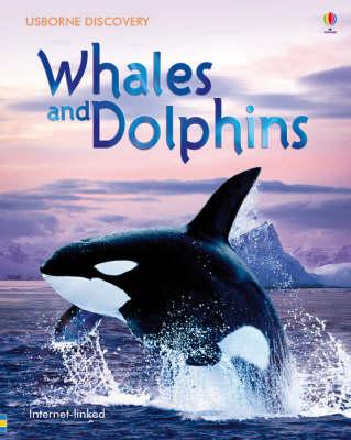 Whales and Dolphins - Susanna Davidson