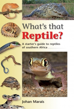 What's that Reptile?- Johan Marais