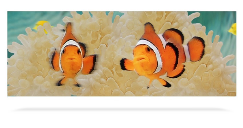 Clownfish 3D Bookmark