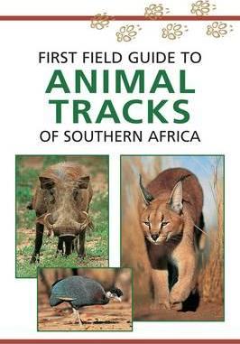 First Field Guide to Animal Tracks of Southern Africa - Louis Liebenberg