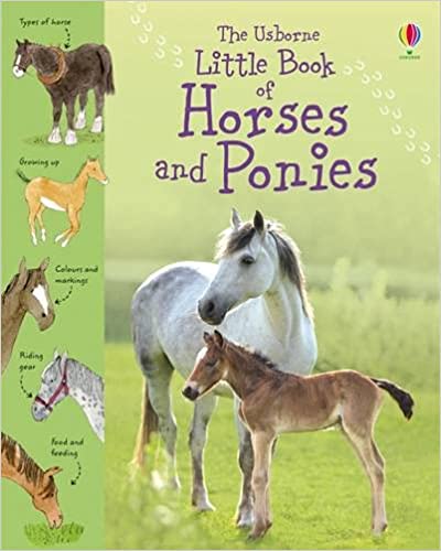 Little Book of Horses and Ponies- Sarah Khan