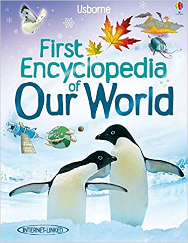 Our World (Usborne First Encyclopedia)- Felicity Brooks