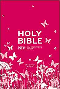 NIV Pocket Bible (Pink Soft-Tone)