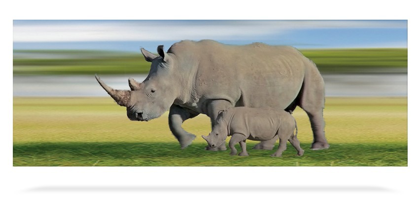 Rhino 3D Bookmark