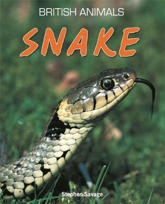 Snake - Stephen Savage