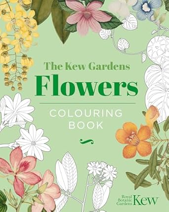 51q4zLWEg+L._SX342_SY445_ControlCacheEqualizer_